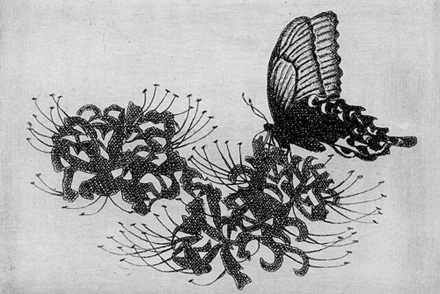 2120様感謝‼️花に蝶‼️アンドー・ヒロミ「POLLEN」限定銅版画
