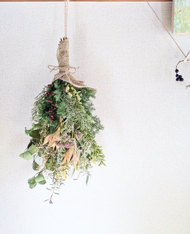 リューカデンドロンやヒムロスギ、ブルーブッシュなどレトロ感ある