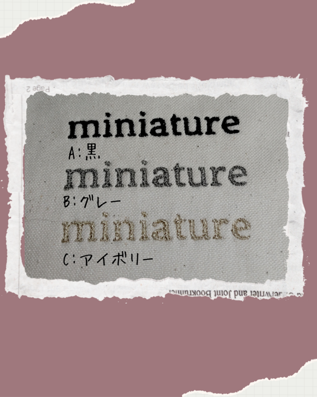 ≪予約販売≫帆布 保育士さん 介護士さんにオススメ オーガナイザー