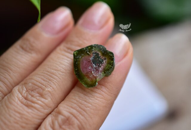 ウォーターメロントルマリン　11.4ミリ ウォーターメロントルマリン 2pc 14.92ct kg-0134 | kuugem