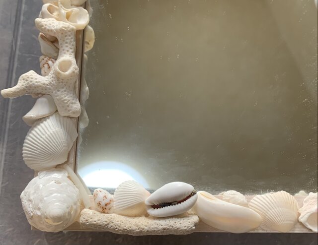 美しい貝殻 置物 約33cm Amazon.co.jp: 湯布院アンティーク 巨大貝殻 オウムガイ オウム