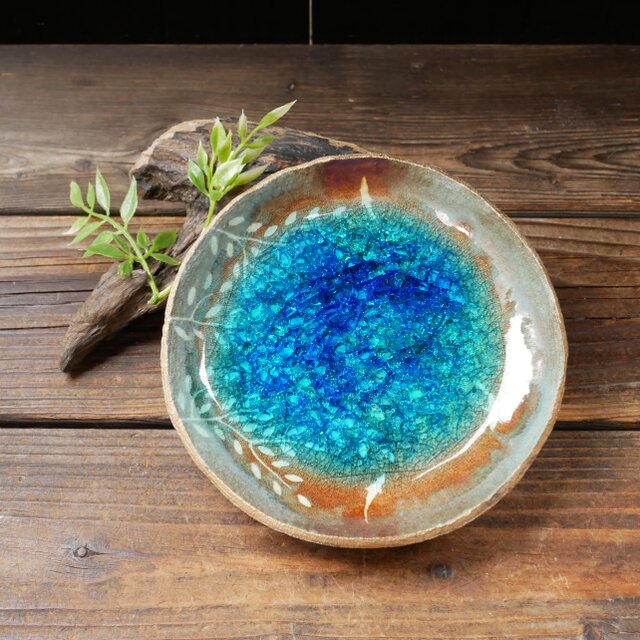 水たまり中皿no.60 枝葉と魚