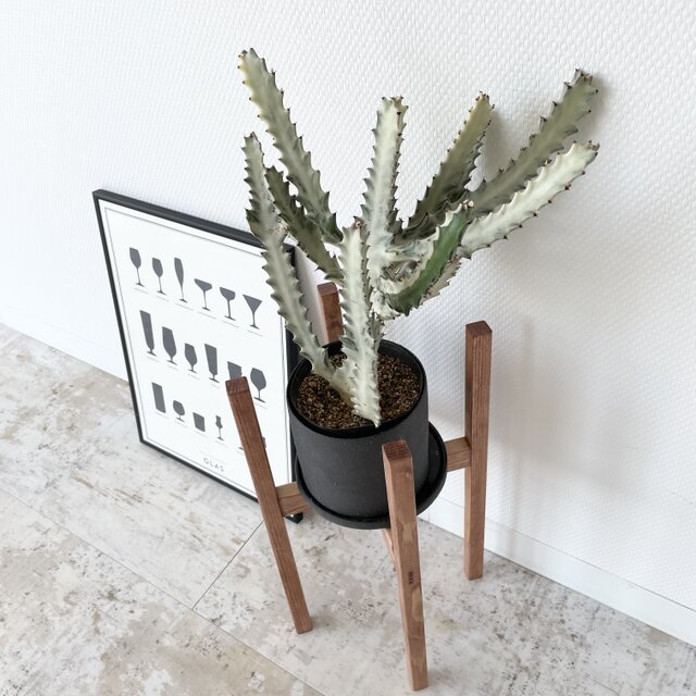 ホワイトウッドのプランターラック