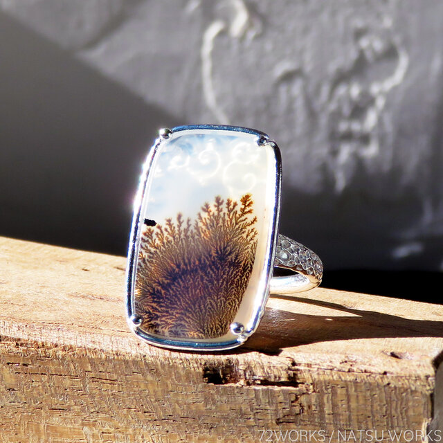 デンドリティック アゲート リング / Dendritic Agate Ring 2 | iichi