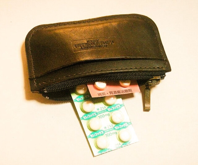 猫のデザイン レザークラフト Wa F小銭入れ Catwalk Oikawa Iichi ハンドメイド クラフト作品 手仕事品の通販