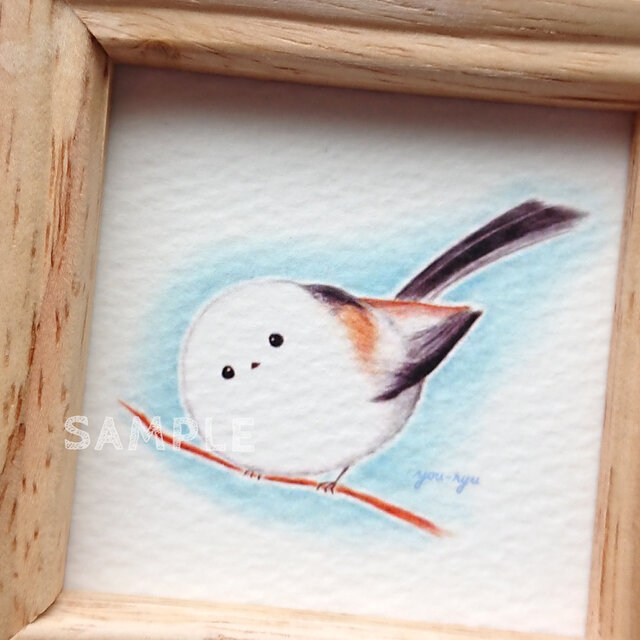 シマエナガの絵