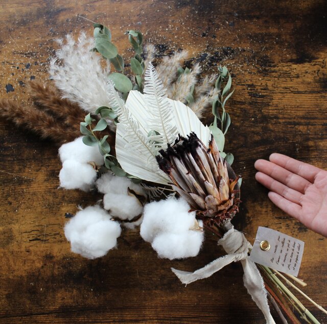 専用＊winter＊D. Nプロテア＆パンパス ドライフラワースワッグ ドライフラワー スワッグ パンパスとプロテア No.64 ドライ