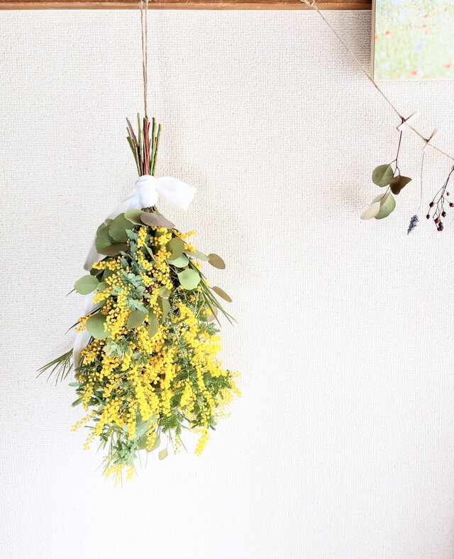 【ユリ様専用ページ】ミモザとユーカリポポラスを束ねた、シンプルでグリーンなドライフラワースワッグ