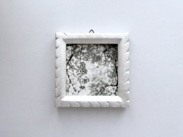 オリジナル銀塩プリント作品♪ 嬉しい木製額装付き 2Lサイズ 銀塩写真フレーム | iichi 日々の暮らしを心地よくするハンドメイドや