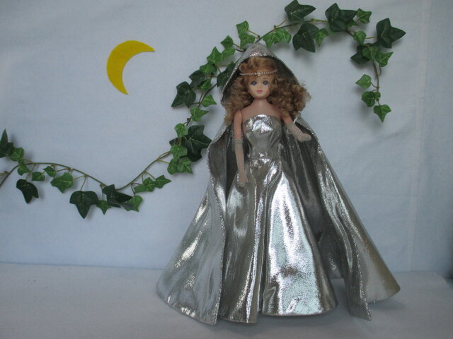 J 人形付 キラキラ 魔女人形さん 大人も楽しい着せ替え人形 29cm