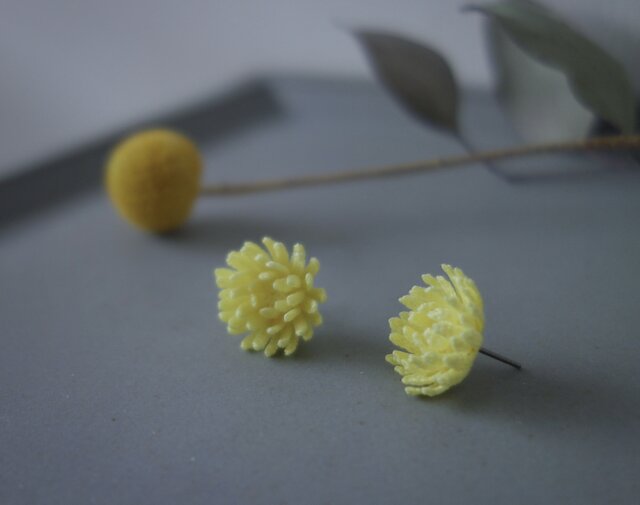 ohana no pierce Lemonの画像1枚目