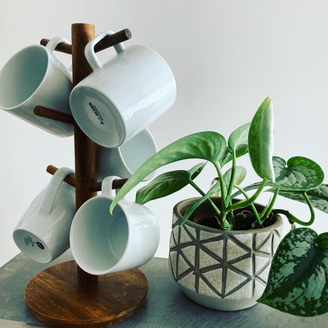 天板木のマグツリー