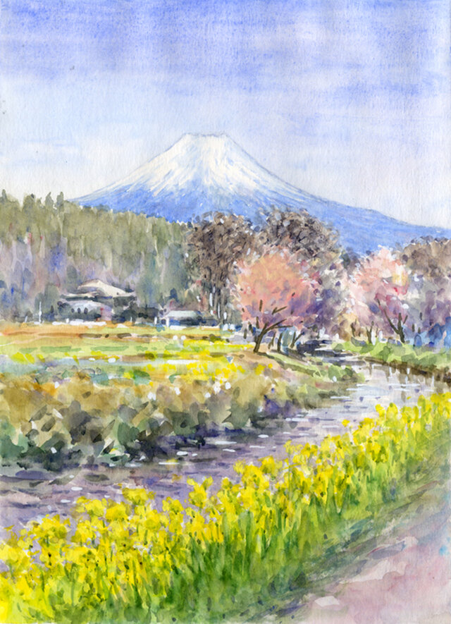 水彩画原画 富士山と菜の花 忍野村 ＃491 | iichi 日々の暮らしを