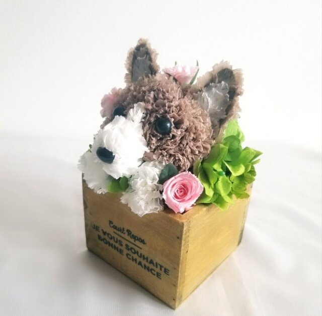 フラワーペット【コーギー】プリザーブドフラワー カーネーション 犬