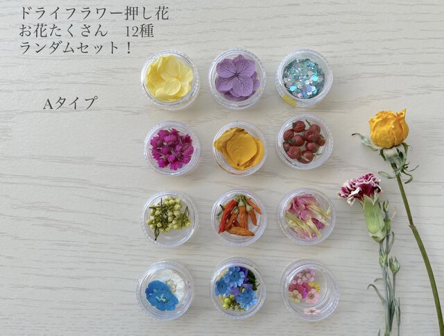 お花いっぱい！ドライフラワー押し花 花材 全12種 レジン アクセサリー