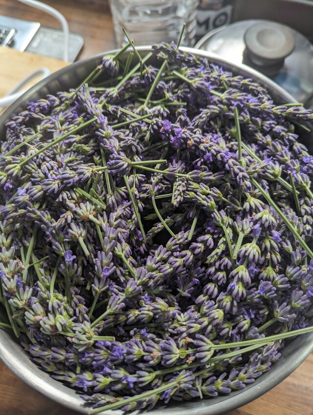 ラベンダー アロマ 波動スプレー 浄化 除菌 殺菌 癒やし アメジスト