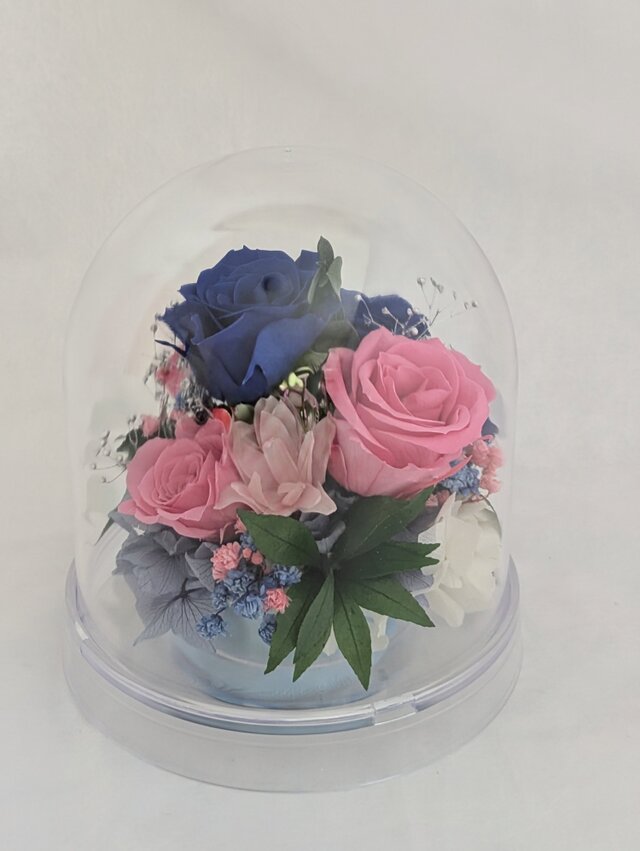 プリザーブドフラワー／ドームの中に咲く青とピンクの薔薇と小花の