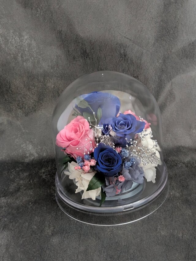 プリザーブドフラワー／ドームの中に咲く青とピンクの薔薇と小花の