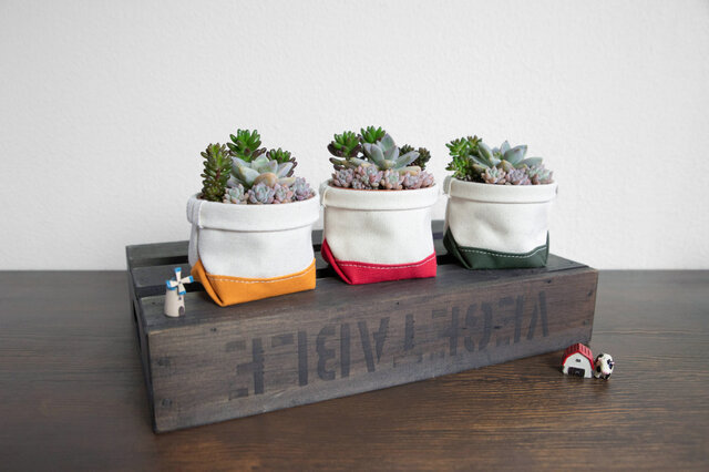 多肉植物寄せ植えと鉢カバー2点セット】老舗バッグファクトリー