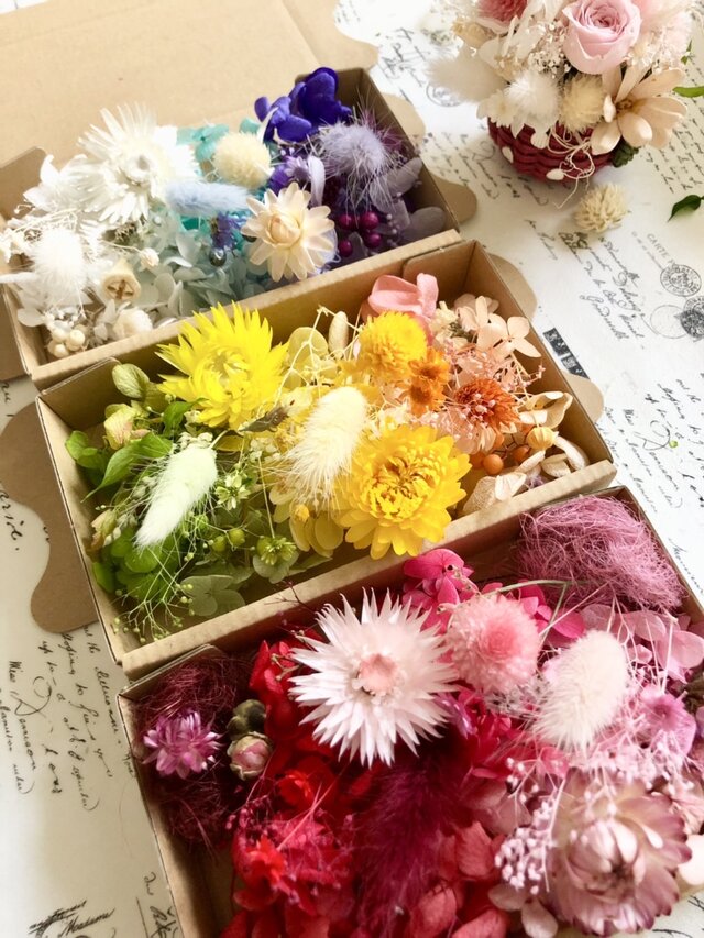トロピカル8カラーお花盛り花材詰め合わせ3箱セット | iichi 日々の 