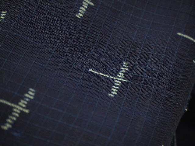 kou0005a 夏着物 ハギレ 蜻蛉文様 280cm / 古布 古裂 錦紗 縮緬