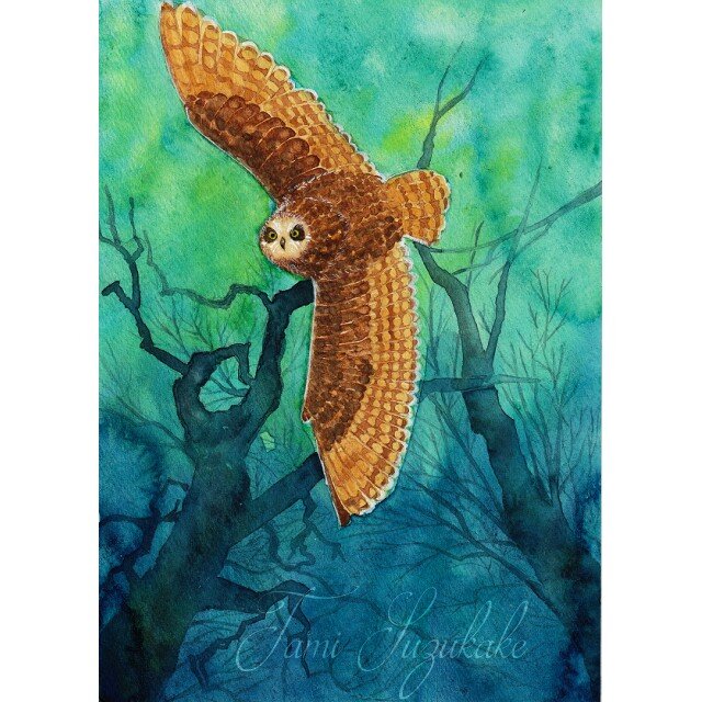 水彩画・原画「森のフクロウ」 | iichi 日々の暮らしを心地よくする 