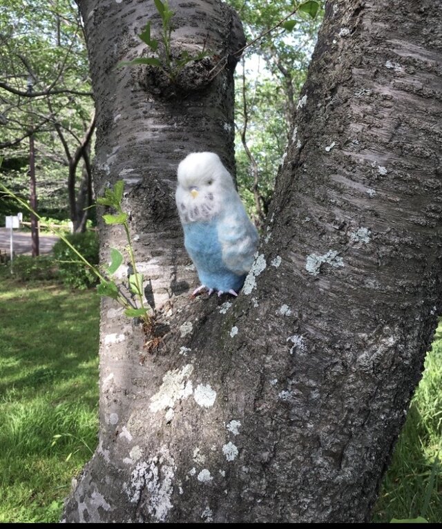 受注制作⭐︎羊毛フェルトのジャンボセキセイインコ オーダーメイド