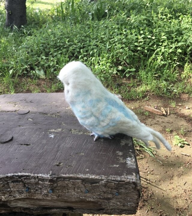 受注制作⭐︎羊毛フェルトのジャンボセキセイインコ オーダーメイド