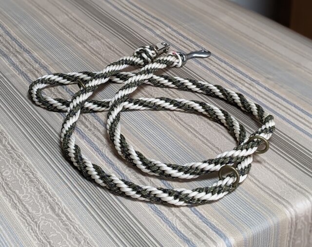 大型犬用 (全長150cm)カフェリード カラーお揃いのハーネスも