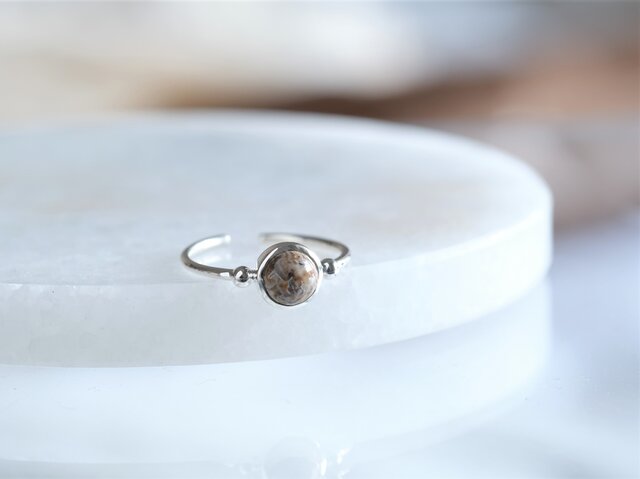 dinosaur born fossil agate _Halda áfram ring 恐竜の化石