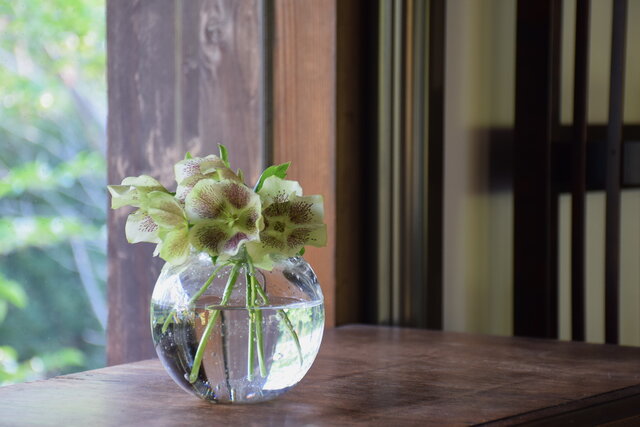 NEMAJI POTTERY green 花瓶 NEMAJI POTTERY green 花瓶