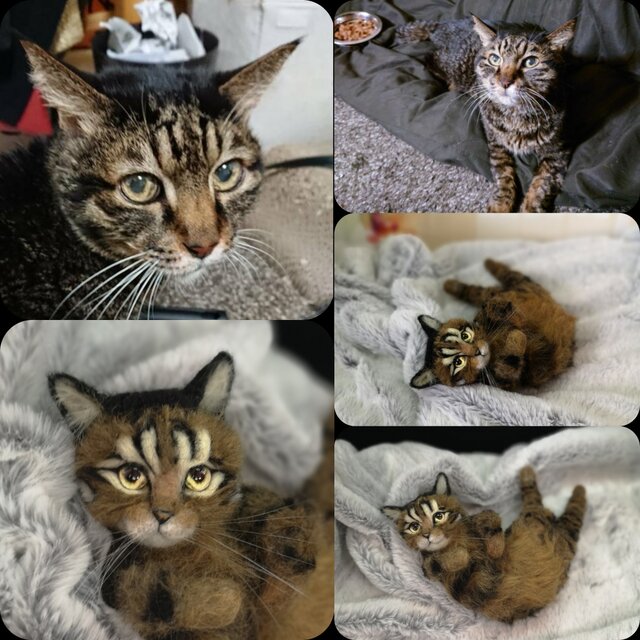 ☆愛猫オーダーメイドSサイズ☆愛犬 ハンドメイド メモリアル いぬ
