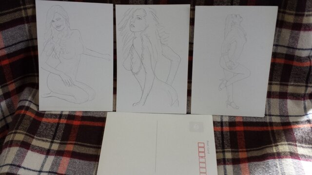 大人の塗り絵2014/01.3(POST CARD)の画像1枚目