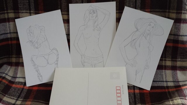 大人の塗り絵2014/01.4(POST CARD)の画像1枚目