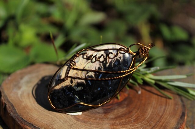 P6☆特選一連☆希少☆木化石【13mmペトリファイドウッド珪化木ラウンド