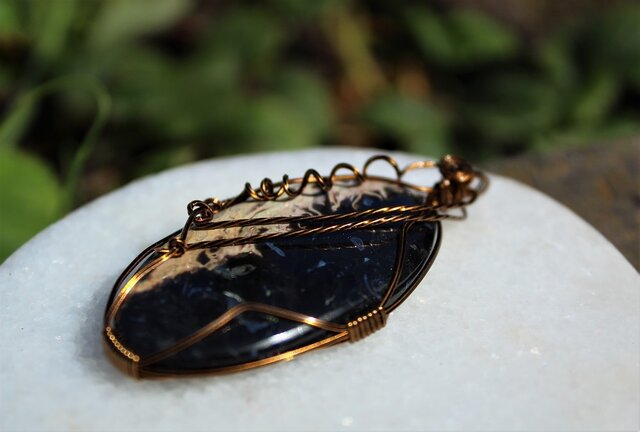 ペトリファイドウッド 大自然の無限の力を宿した、樹木の化石 | iichi