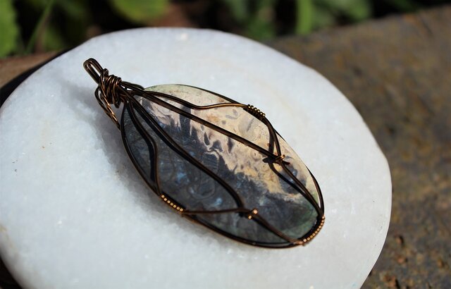 ペトリファイドウッド 大自然の無限の力を宿した、樹木の化石 | iichi