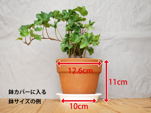 木製 鉢カバー（4号鉢用） ヒノキ材3 植木鉢カバー | iichi 日々