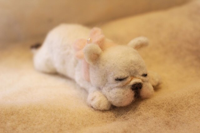 お昼寝フレンチブルドッグの画像1枚目