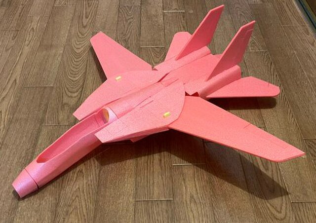空飛ぶプラモデル ビッグスケールグライダー F-14トムキャット 1