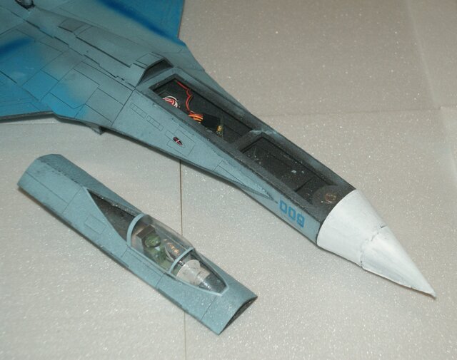 空飛ぶプラモデル ビッグスケールグライダー Su-27 フランカー 1