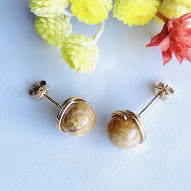 フォッシルコーラル 1粒ピアス 14kgf | iichi 日々の暮らしを