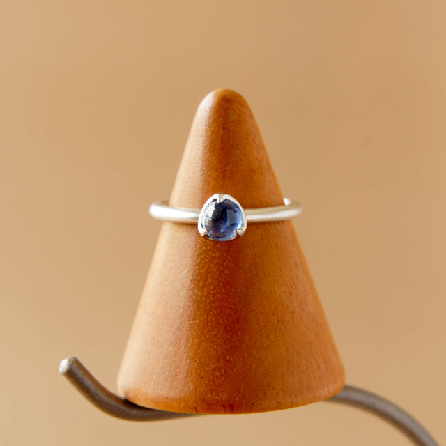 Pt900 Bicolor Sapphire Ring