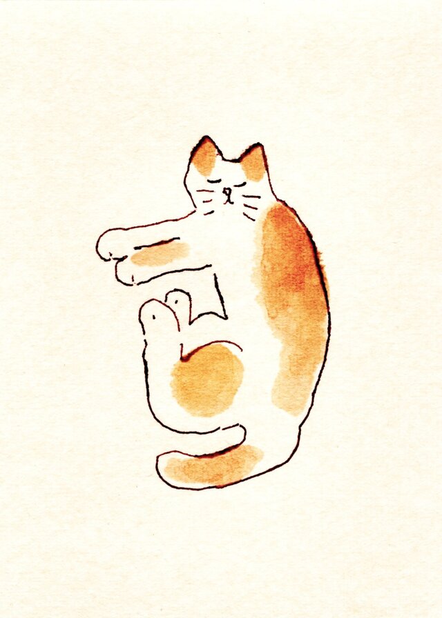 ポストカード 5枚セット｜猫のイラスト・絵葉書・メッセージカード