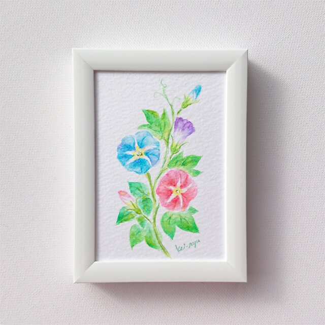 原画作品「朝顔」