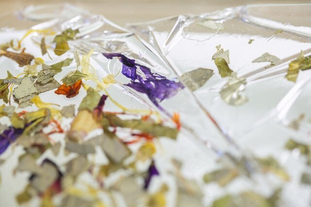 「氷に閉じ込められた草花」の画像1枚目