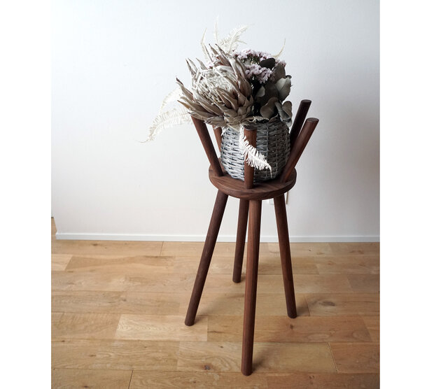 Botanical Stool 'crown' Ｌ ウォールナット材 プランタースタンド