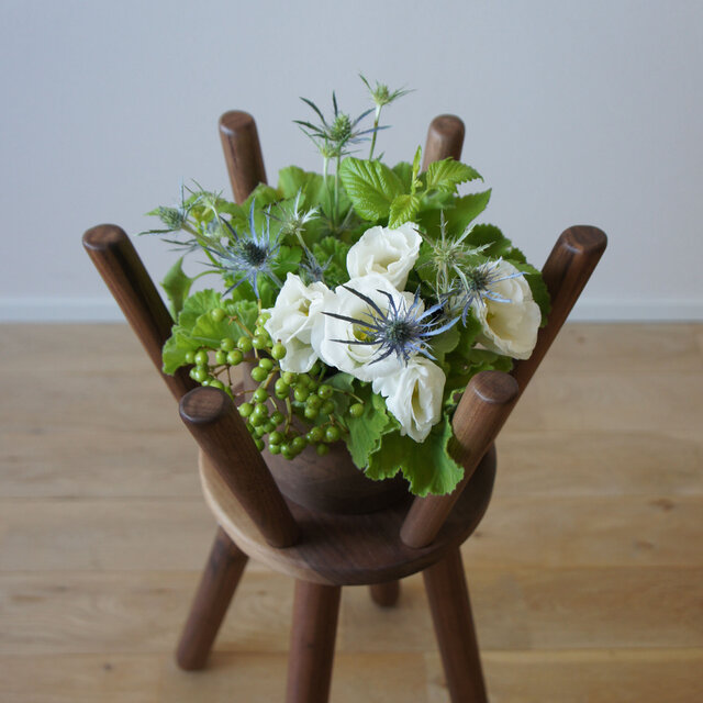 Botanical Stool 'crown' Ｓ ウォールナット材 プランタースタンド