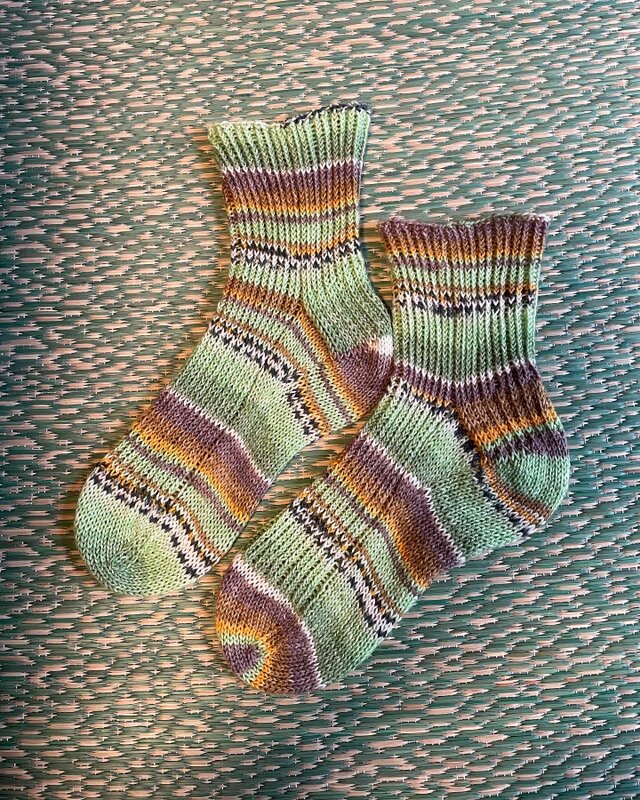 No.891 sweet&spicy kiwi