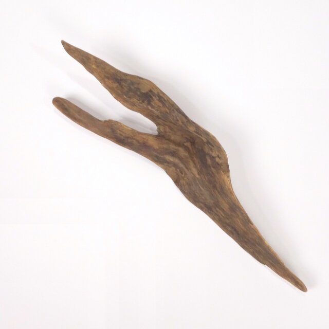 【温泉流木】デザインされた器のような美しい流木 流木素材 インテリア 素材 レイアウト 木材